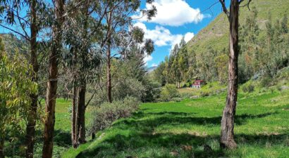 Entorno natural de Huancavelica: cabaña rodeada de bosque y un impresionante cielo celeste