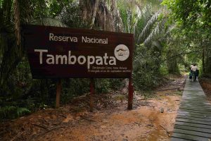 Tambopata