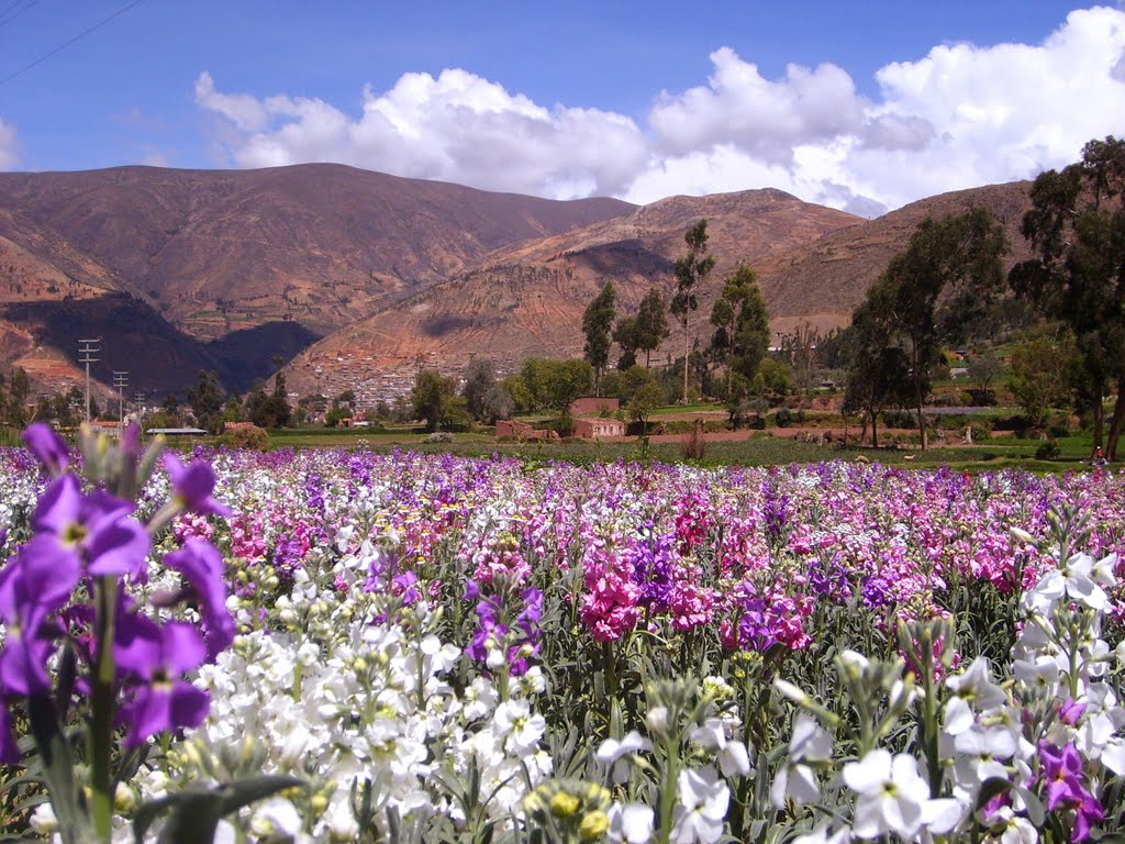 Clima de Perú - Viajar a Peru