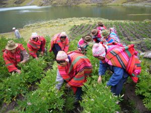 Agricultores de la sierra con el traje tÃ­pico