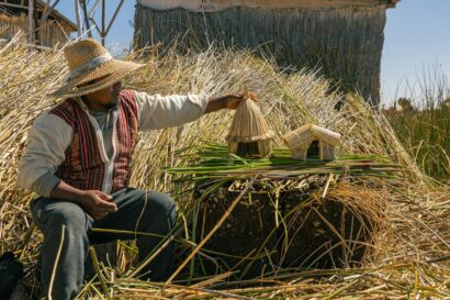 A man crafting traditional reed huts in the rural setting of Puno, Peru.